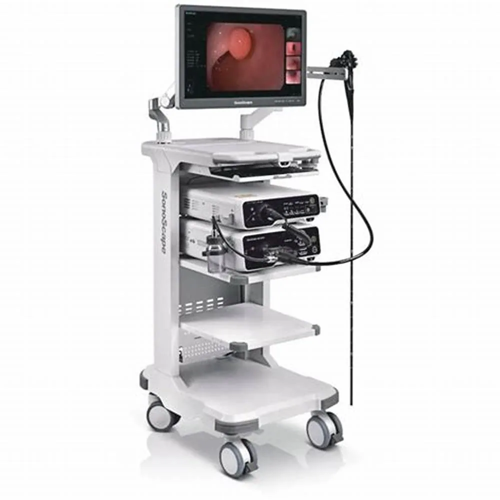 Endoscopy image 3