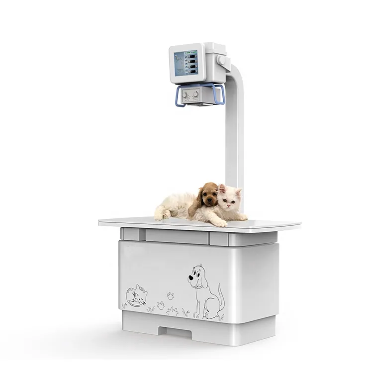 Veterinary X-ray